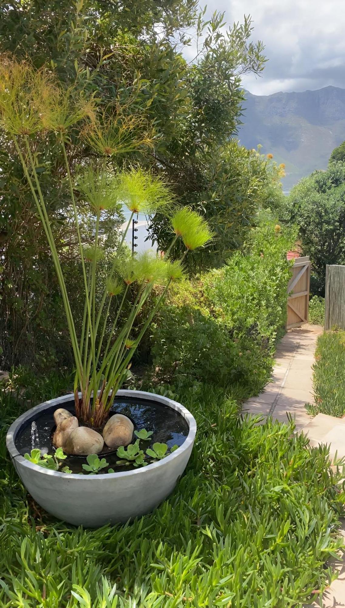 Beautiful View Garden Apartment Cape Town Luaran gambar